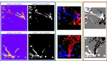 StarCraftImage: A Dataset For Prototyping Spatial Reasoning Methods For Multi-Agent Environments