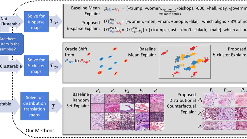 Towards Explaining Distribution Shifts